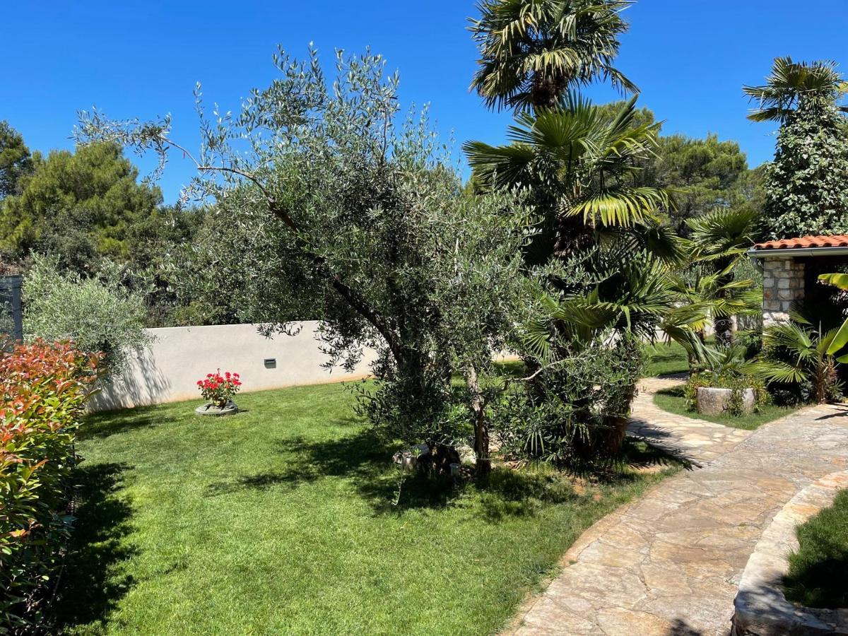 Kos Apartamento *